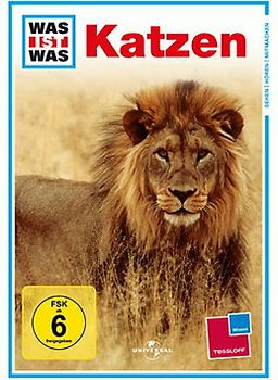 Was ist was: Katzen DVD