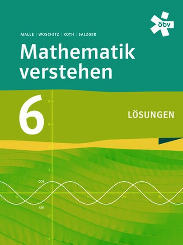 Mathematik verstehen 6, Lösungen