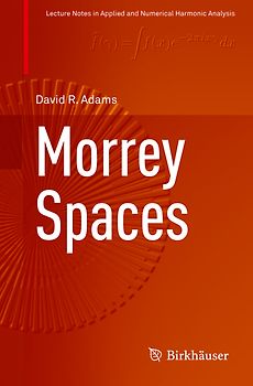 Morrey Spaces