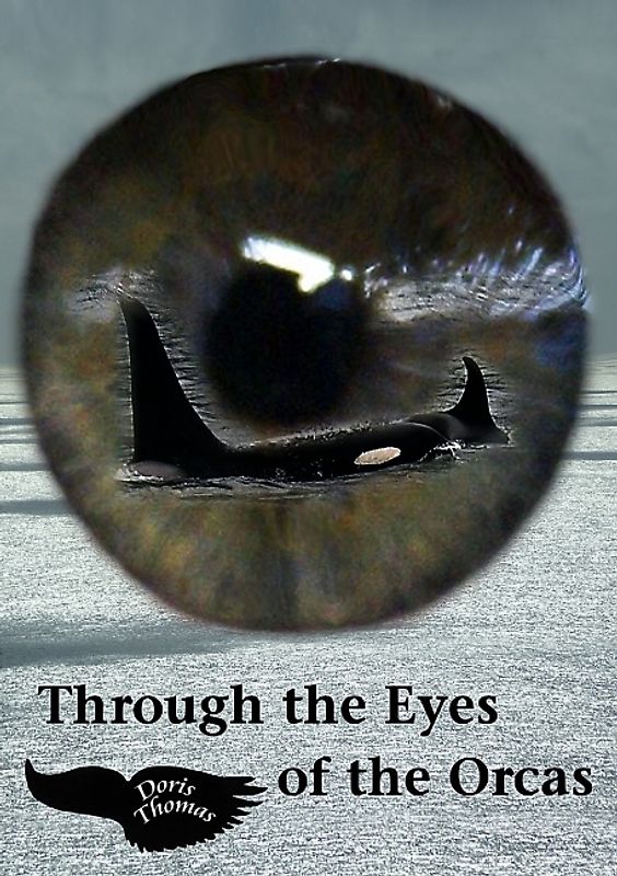Through the Eyes of the Orcas