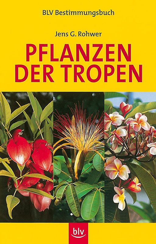 Pflanzen der Tropen