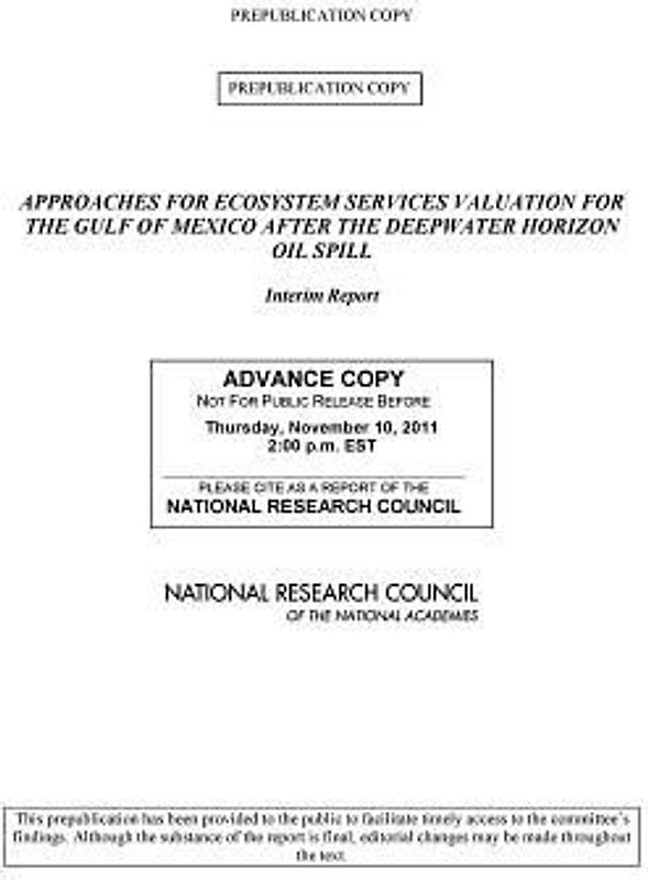Approaches for Ecosystem Services Valuation for the Gulf of Mexico After the Deepwater Horizon Oil Spill