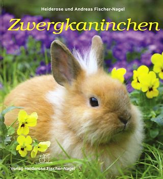 Zwergkaninchen