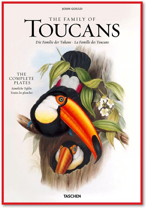 John Gould. The Family of Toucans