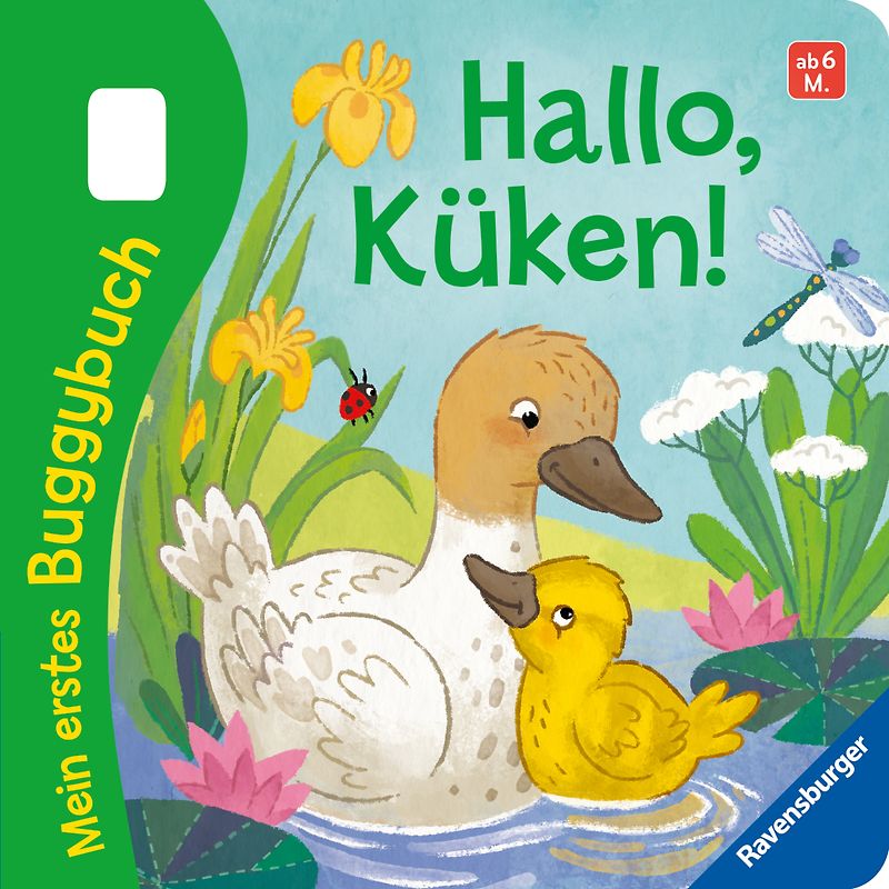 Mein erstes Buggybuch: Hallo, Küken!