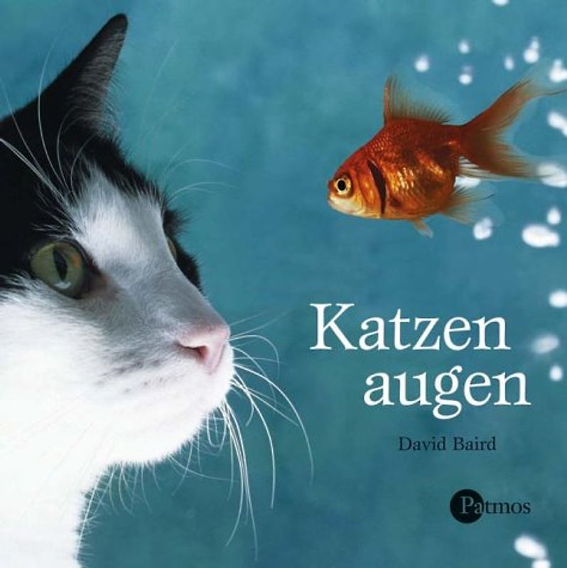 Katzenaugen