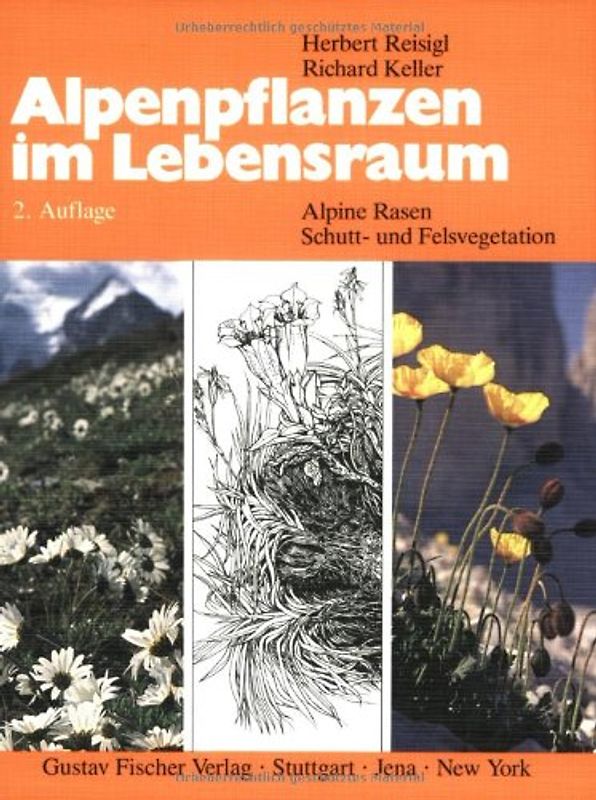 Alpenpflanzen im Lebensraum