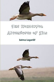 The Wonderful Adventures of Nils