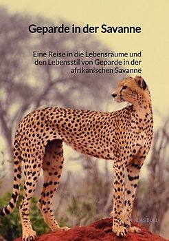 Geparden in der Savanne