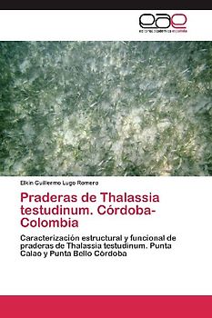 Praderas de Thalassia testudinum. Córdoba-Colombia
