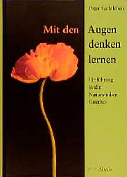 Mit den Augen denken lernen