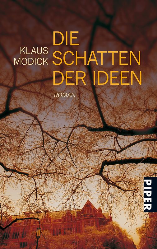 Die Schatten der Ideen