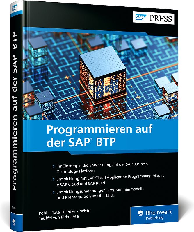 Programmieren auf der SAP BTP
