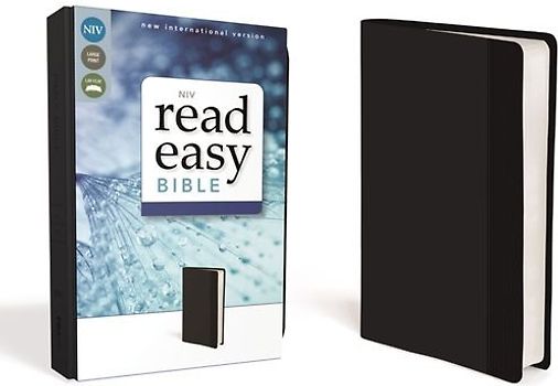 Readeasy Bible-NIV