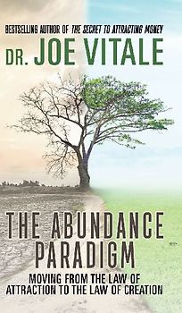 The Abundance Paradigm