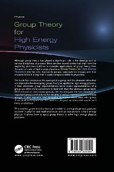 Group Theory for High Energy Physicists