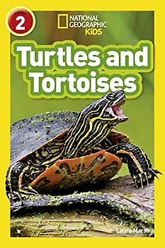 Turtles and Tortoises