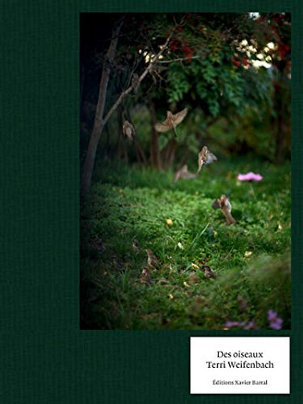 Terri Weifenbach - Des Oiseaux