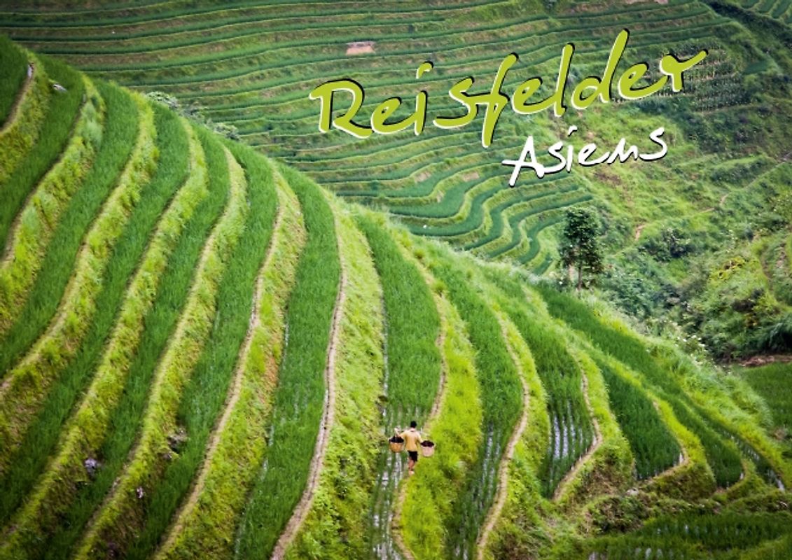 Reisfelder Asiens (Posterbuch DIN A2 quer)