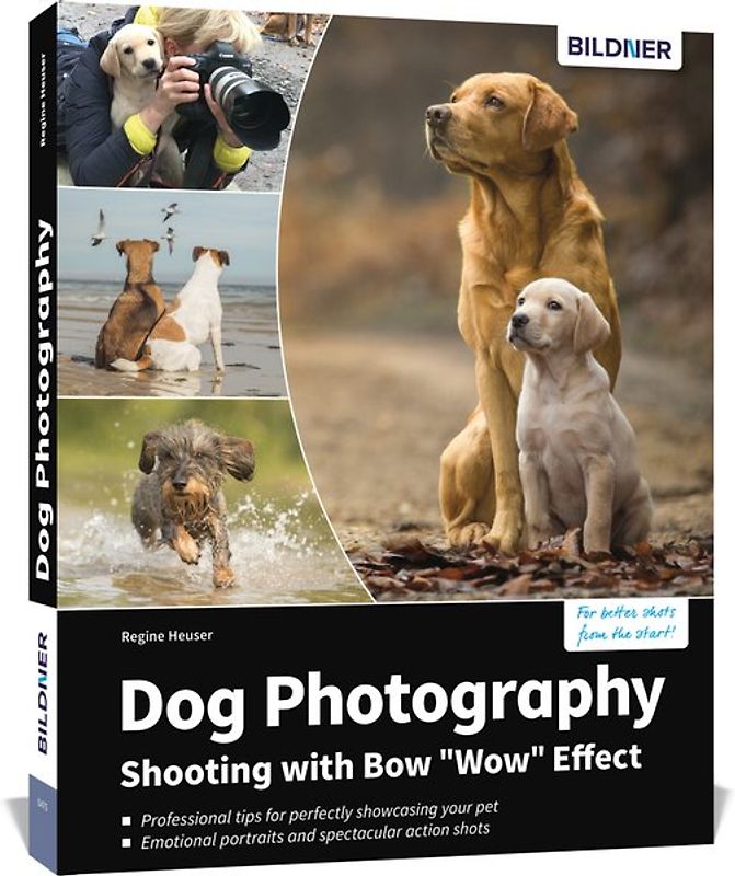 Dog Photography - Shooting with Bow "Wow" Effect