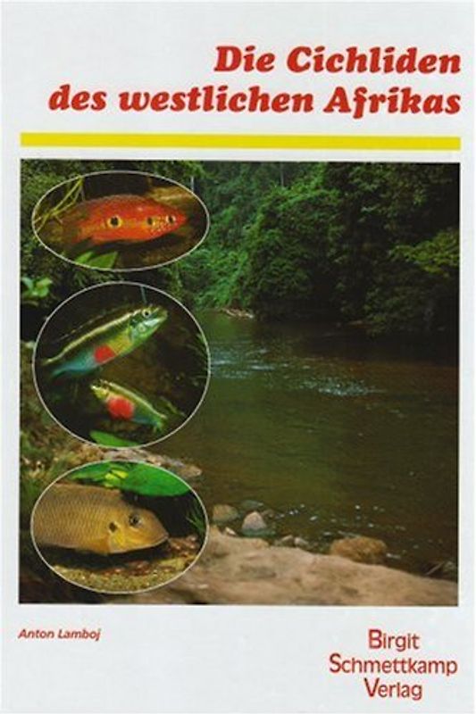 Die Cichliden des westlichen Afrikas