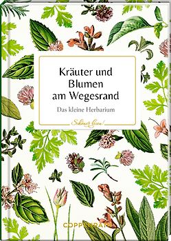 Kräuter und Blumen am Wegesrand