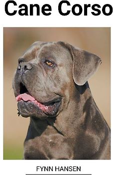 Cane Corso