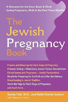The Jewish Pregnancy Book