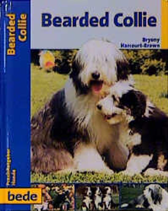 Praxisratgeber Bearded Collie