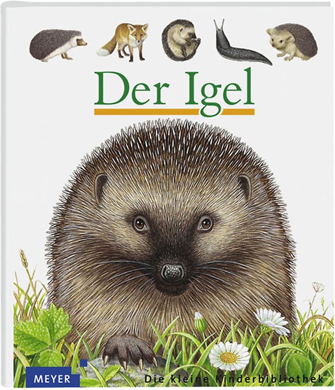 Der Igel