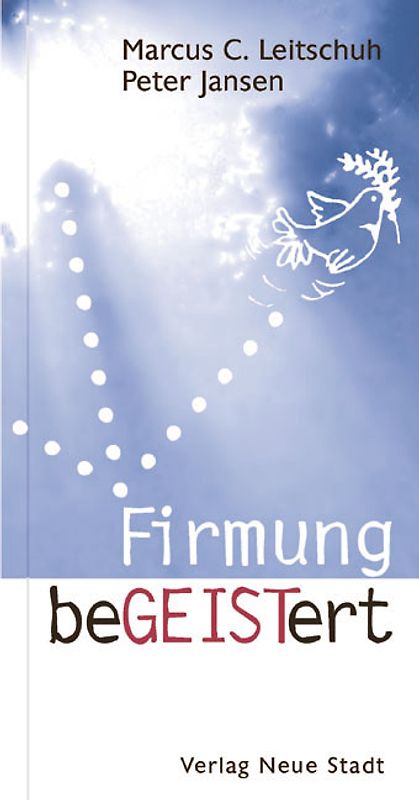 Firmung beGEISTert