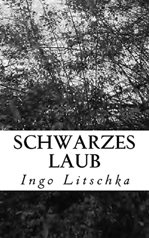 Schwarzes Laub (Gedankenspiegelung, Band 1)