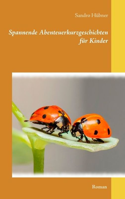 Spannende Abenteuerkurzgeschichten für Kinder