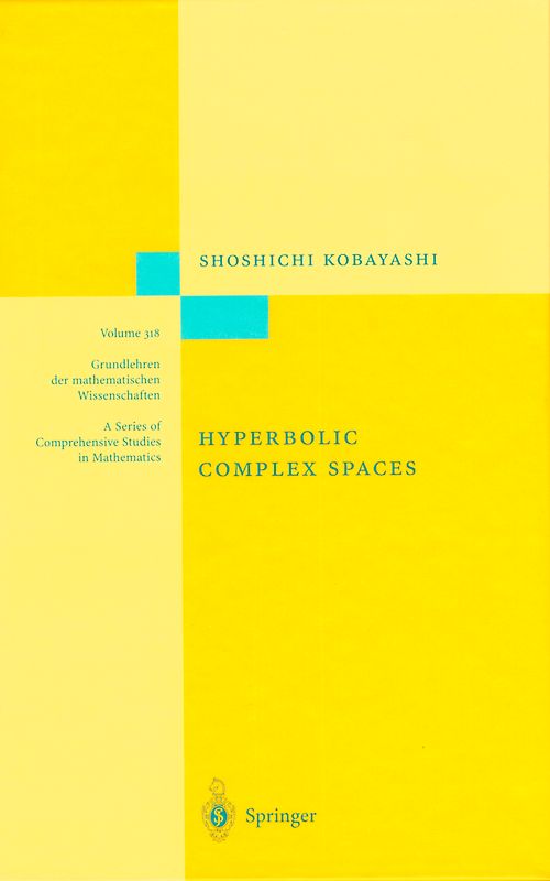 Hyperbolic Complex Spaces