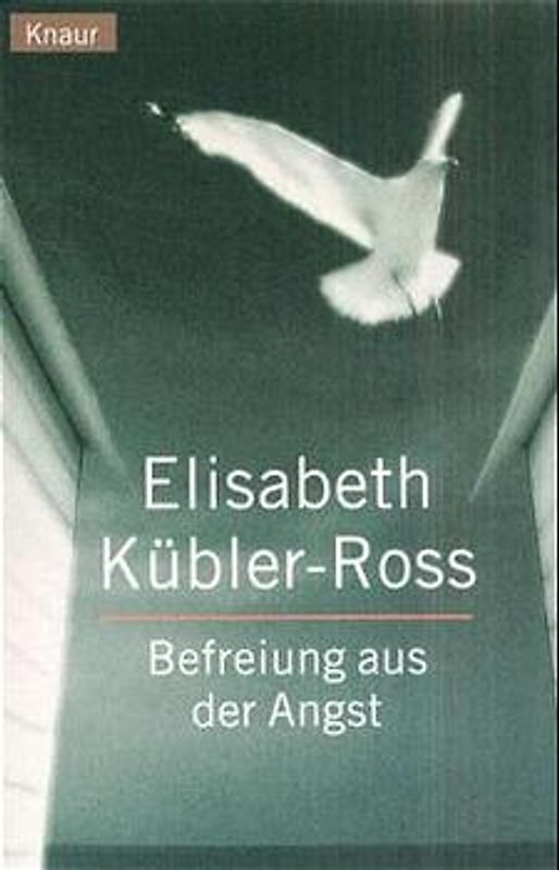 Befreiung aus der Angst. Berichte aus den Workshops "Leben, Tod und Übergang"