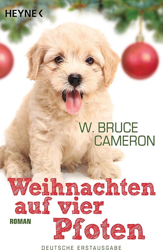 Weihnachten auf vier Pfoten