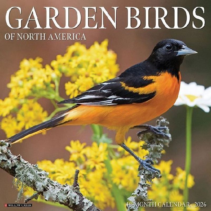 Garden Birds 2026 12 X 12 Wall Calendar