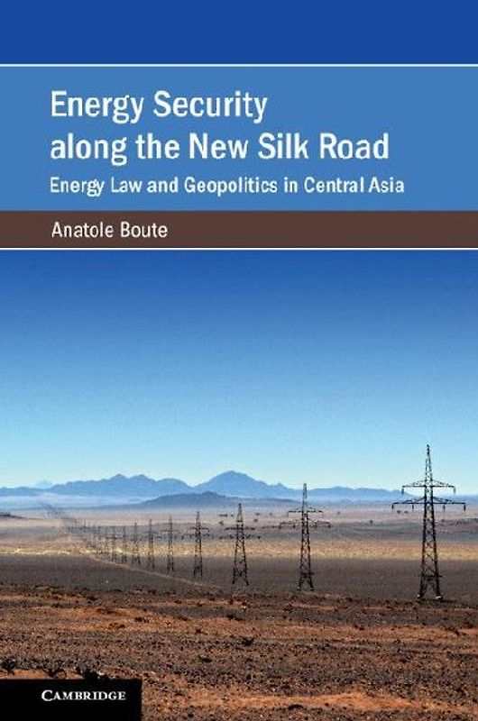 Energy Security along the New Silk Road