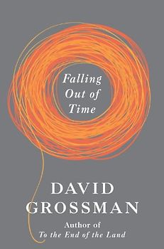 Falling Out of Time - Grossman, David
