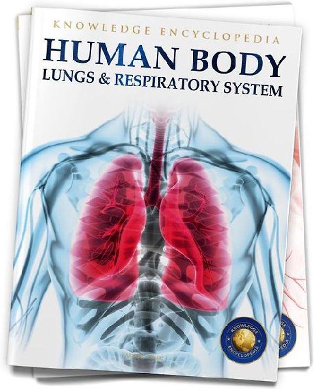 Human Body: Lungs and Respiratory System