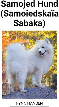 Samojed Hund (Samoiedskaïa Sabaka)