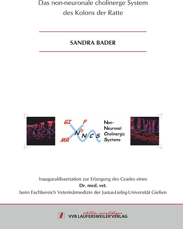 Das non-neuronale cholinerge System des Kolons der Ratte