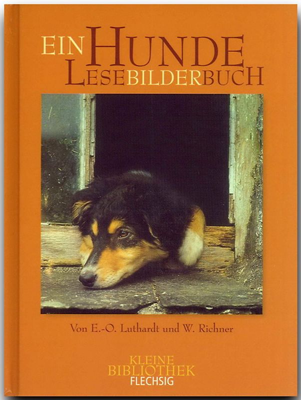 Hunde LeseBilderBuch