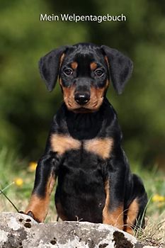Mein Welpentagebuch: die ersten Monate mit meinem Deutschen Pinscher (Deutscher Pinscher - alle Bücher: Trainingstagebuch, Krankenakte, BARF Planer und Welpentagebuch, Band 5)