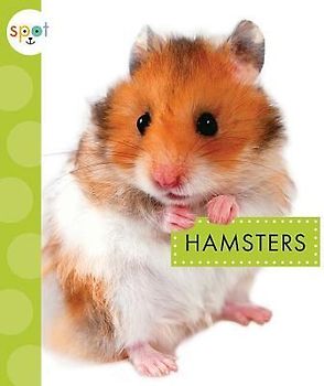 Hamsters