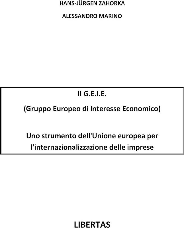 Il G.E.I.E. (Gruppo Europeo di Interesse Economico)