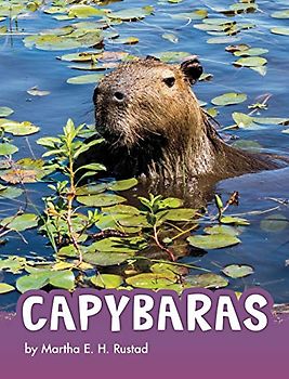 Capybaras
