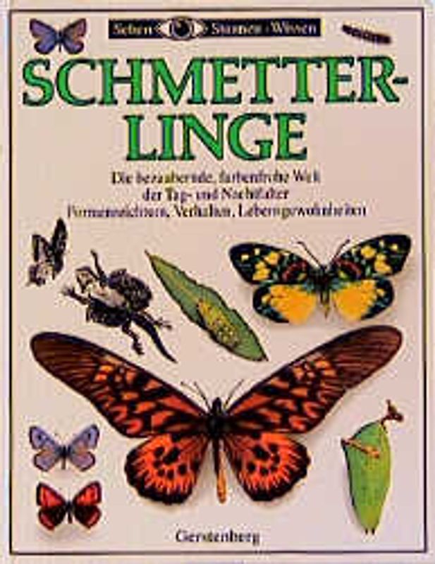 Schmetterlinge