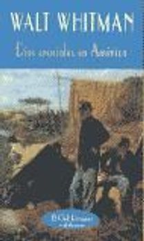 Días cruciales en América : (diario de la Guerra de Secesión, 1862-1865)