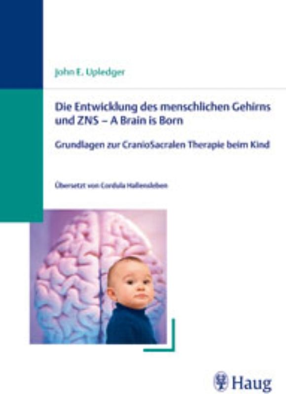 Die Entwicklung des menschlichen Gehirns und ZNS - A Brain is Born